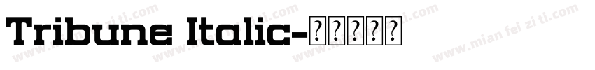 Tribune Italic字体转换